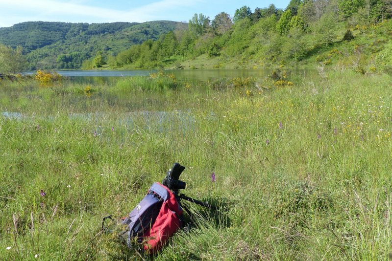 Il lago di Campotosto, orchidee, maltempo eschiarite! maggio/giugno 2023.